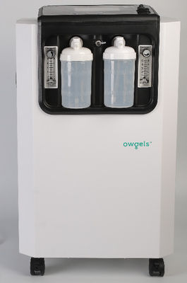 Concentratore elettrico dell'ossigeno di purezza di 96% 10 litri con il nebulizzatore