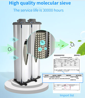 Concentratore medico portatile dell'ossigeno di 19KG 5L per uso dell'ospedale