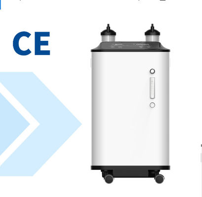 10l per macchina portatile principale minuscola dell'ossigeno del concentratore del Odm di trattamento dell'esposizione