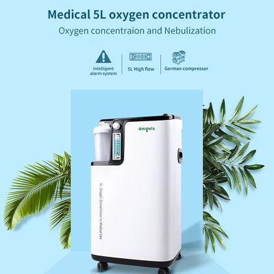 FDA medico a basso rumore atomizzatore del concentratore dell'ossigeno da 5 litri